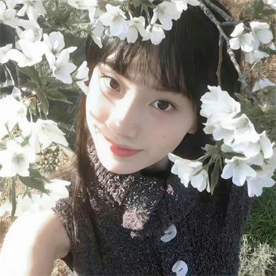 熊出没之春日对对碰
